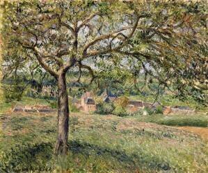 Apple Tree in Eragny (Camille Pissarro) - Muzeo.com