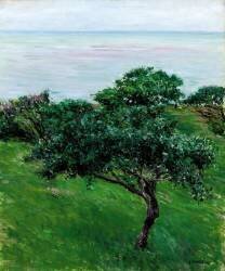 Apple Trees by the Sea at Trouville (Gustave Caillebotte) - Muzeo.com