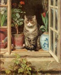Blinking in the Sun (Ralph Hedley) - Muzeo.com