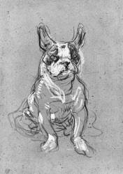 'Bouboule' (Henri de Toulouse-Lautrec) - Muzeo.com