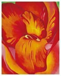 Canna Red and Orange, 1926 (Georgia O'Keeffe) - Muzeo.com
