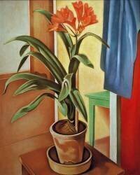 Clivia (Alexander Kanoldt) - Muzeo.com