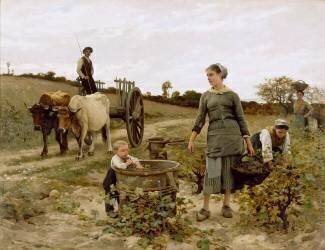 Coin de vigne, Languedoc (Edouard Debat-Ponsan) - Muzeo.com