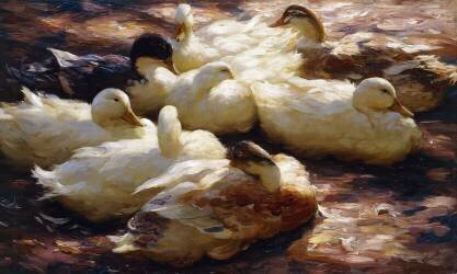 Ducks on a Riverbank (Alexander Koester) - Muzeo.com