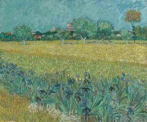 Field with Flowers near Arles (Vincent van Gogh) - Muzeo.com