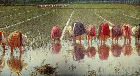 For 80 cents! (Angelo Morbelli) - Muzeo.com