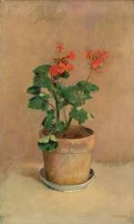 Geraniums in a Pot (Odilon Redon) - Muzeo.com