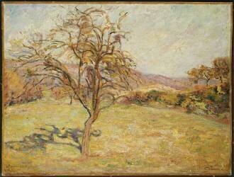 Landscape (Armand Guillaumin) - Muzeo.com