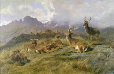 Landscape with Deer (Rosa Bonheur) - Muzeo.com