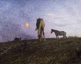 Nightfall (Nils Kreuger) - Muzeo.com