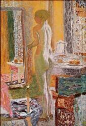 Nude in front of the ice (Pierre Bonnard) - Muzeo.com