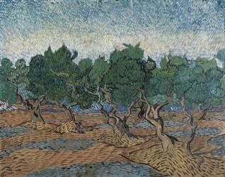 Olive Grove (Vincent van Gogh) - Muzeo.com