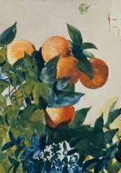 Oranges on a Branch (Winslow Homer) - Muzeo.com