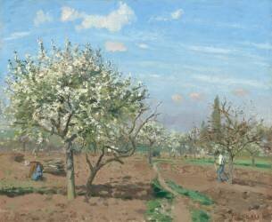 Orchard in Bloom (Camille Pissarro) - Muzeo.com