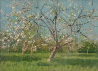 Orchard trees in blossom (Laszlo Mednyanszky) - Muzeo.com