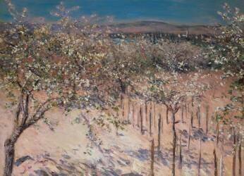 Orchard with flowering Apple Trees (Gustave Caillebotte) - Muzeo.com