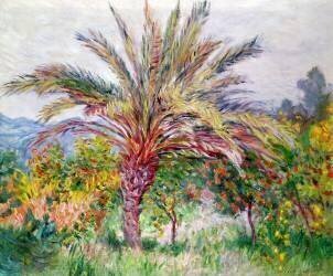 Palm Tree at Bordighera (Claude Monet) - Muzeo.com