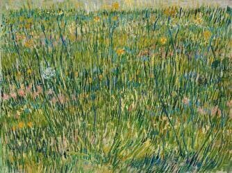Patch of Grass (Vincent van Gogh) - Muzeo.com
