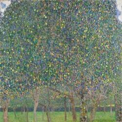 Pear Tree (Gustav Klimt) - Muzeo.com