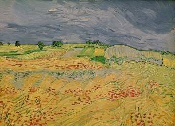 Plain at Auvers (Vincent van Gogh) - Muzeo.com