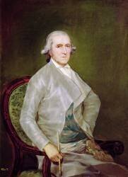 Portrait of Francisco Bayeu y Subias (Francisco de Goya) - Muzeo.com