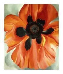Red Poppy, No. VI, 1928 (Georgia O'Keeffe) - Muzeo.com