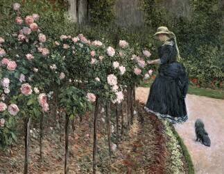 Roses in the Garden at Petit-Gennevilliers (Gustave Caillebotte) - Muzeo.com
