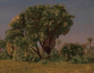 Study of Palm Trees (Jean-Léon Gérôme) - Muzeo.com