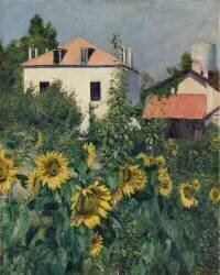 Sunflowers in the Garden at Petit-Gennevilliers (Gustave Caillebotte) - Muzeo.com