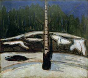 The birch tree in the snow (Edvard Munch) - Muzeo.com