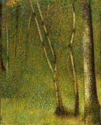 The Forest at Pontaubert (Georges Seurat) - Muzeo.com