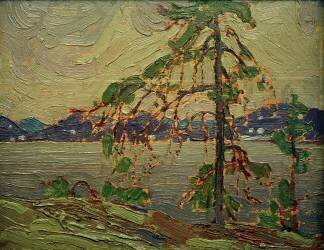 The Jack Pine (Skizze) (Tom Thomson) - Muzeo.com