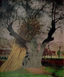 The Old Olive Tree (Félix Vallotton) - Muzeo.com