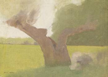 Vieil arbre dans une prairie (Odilon Redon) - Muzeo.com
