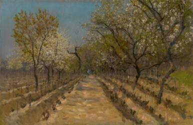 Vineyard (Laszlo Mednyanszky) - Muzeo.com