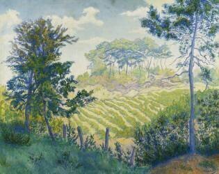 Vineyards under the Pines (Paul-Elie Ranson) - Muzeo.com