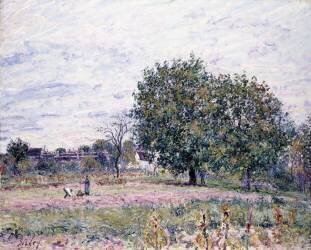 Walnut Trees (Alfred Sisley) - Muzeo.com