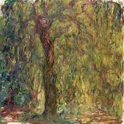 Weeping Willow (Claude Monet) - Muzeo.com