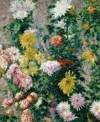 White and Yellow Chrusanthemums (Gustave Caillebotte) - Muzeo.com