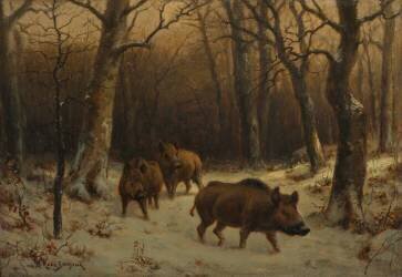 Wild Boars in the Snow (Rosa Bonheur) - Muzeo.com