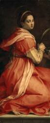 Saint Catherine of Alexandria (Andrea del Sarto) - Muzeo.com