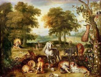 Terrestrial Paradise (Jan Brueghel the Elder) - Muzeo.com