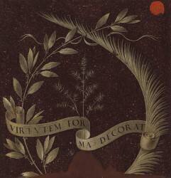 Wreath of Laurel (Leonardo da Vinci) - Muzeo.com