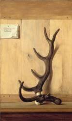 Bois du cerf bizarre sur un fond de planches (Jean-Baptiste Oudry) - Muzeo.com