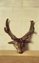 Bois du cerf bizarre sur un mur de pierre (Jean-Baptiste Oudry) - Muzeo.com