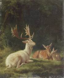 Cerf dans un paysage (Rosa Bonheur) - Muzeo.com