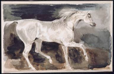 Cheval blanc trottant de profil à droite (Eugène Delacroix) - Muzeo.com