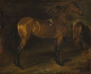 Cheval espagnol dans une écurie (Théodore Géricault) - Muzeo.com