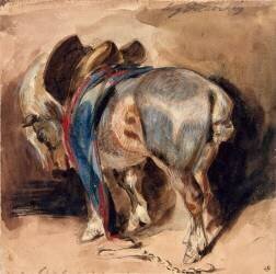 Cheval tourné à gauche (Eugène Delacroix) - Muzeo.com