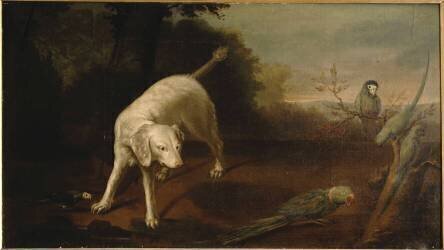 Chien épagneul blanc et perroquet. (Alexandre-François Desportes...) - Muzeo.com